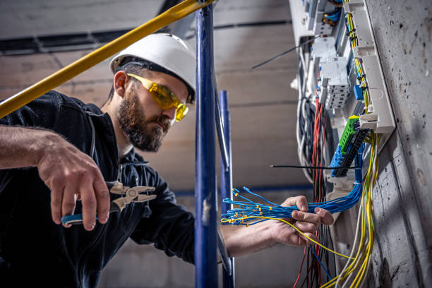 Best Electric Panel Repair  in Somerdale, NJ